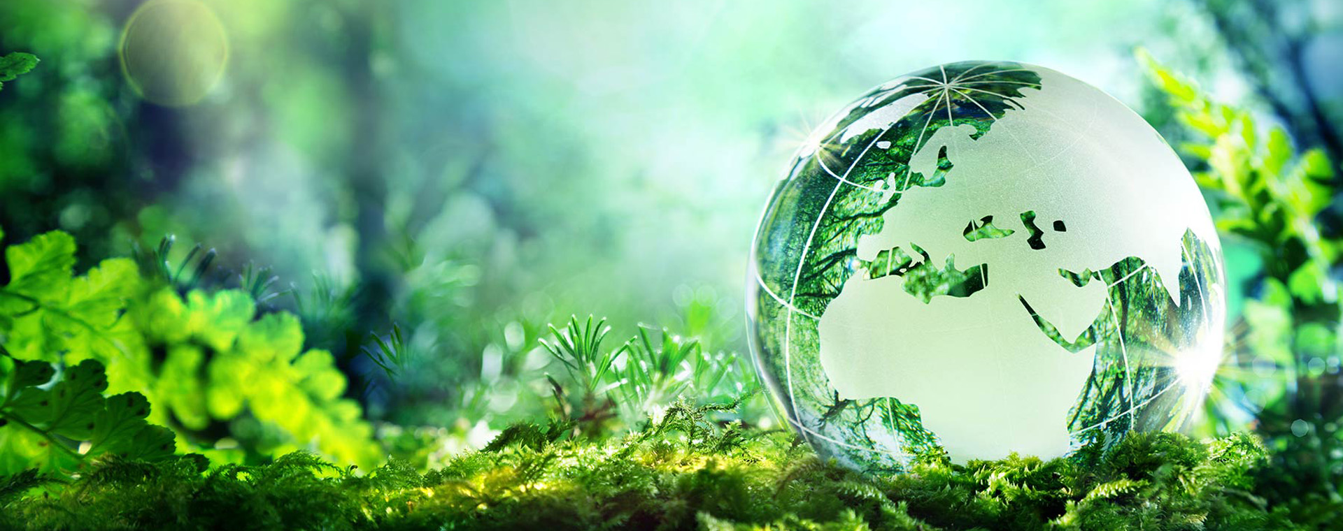 environmental stewardship